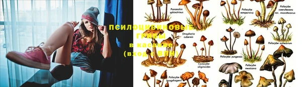 винт Новозыбков