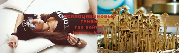 винт Новозыбков