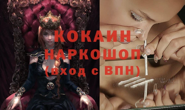 винт Новозыбков