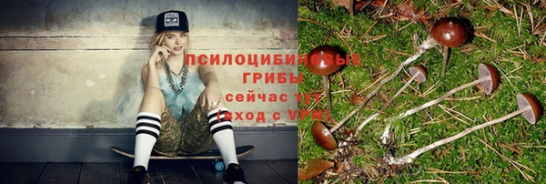 мдпв Тихорецк