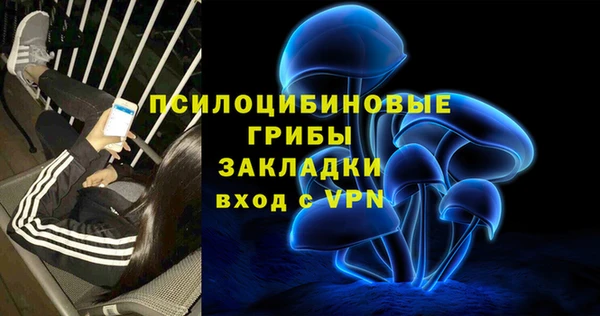 винт Новозыбков